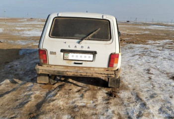 Туши сайгака изъяли у браньера в Кызылординской области