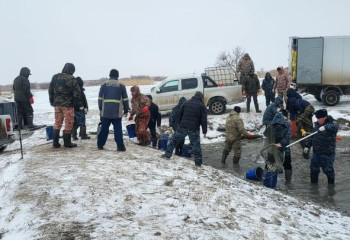 В Атырауской области спасено 3,2 млн штук молоди рыбы на водоканале Баксай