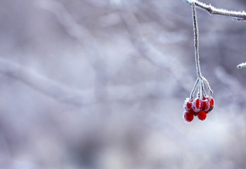 -35°C. Күн күрт суытады