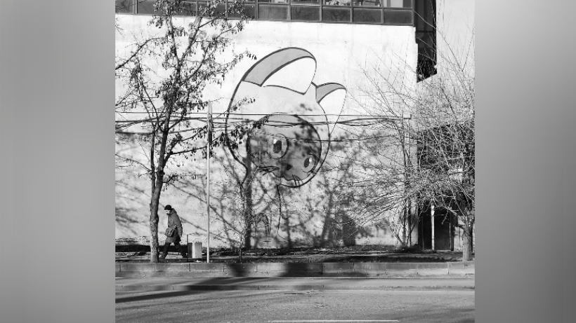  Дамир Алаев / Facebook 