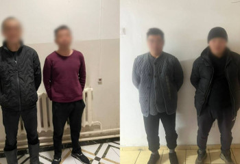 В Алматинской области задержана группа скотокрадов