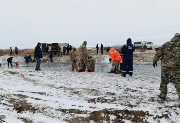 6,4 млн штук молоди рыбы спасли в Атырауской области