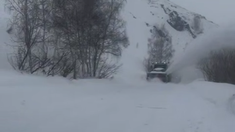  видеодан кадр 