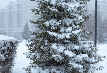 19 қаңтарға арналған ауа райы болжамы