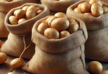 Запасов картофеля достаточно для полного покрытия внутренней потребности