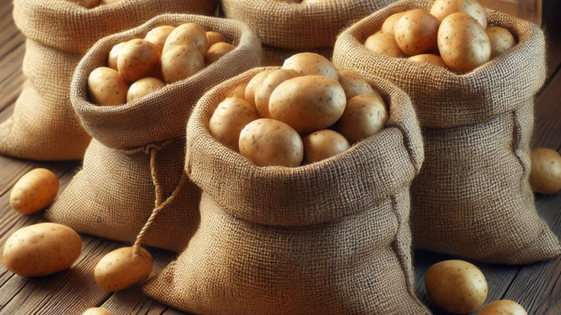  © El.kz / Chat GPT / Динмухамед БЕЙСЕМБАЕВ 