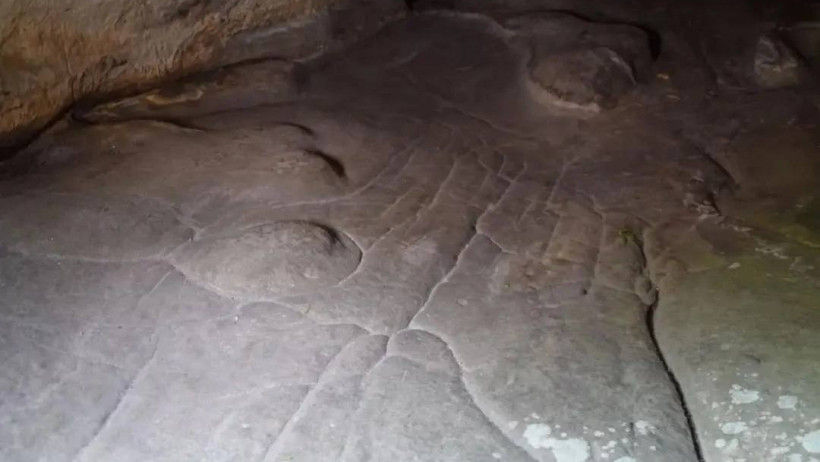  © Online library Wiley. 