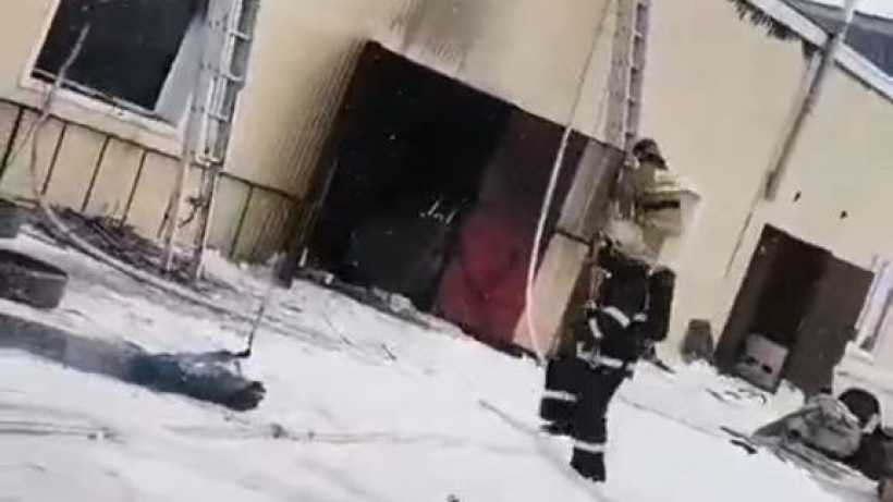  Видеодан кадр 