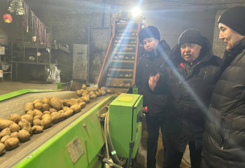 Абай облысында картоп бағасы бақылауда