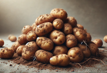 Казахстан ограничит экспорт картофеля для стабилизации цен на внутреннем рынке