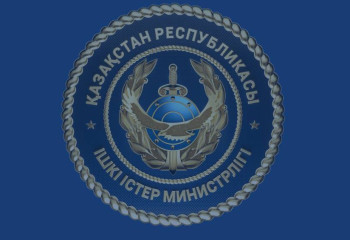 Жетісуда трансұлттық ұйымдасқан қылмыстық топ ұсталды