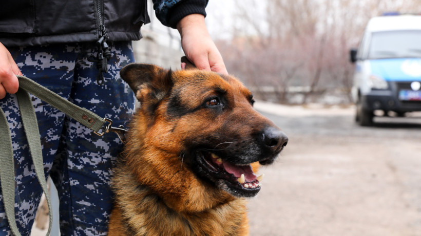  ©El.kz/Бауыржан ЖУАСБАЕВ 