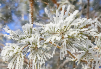 Елімізде ауа температурасы 35 градусқа дейін төмендейді