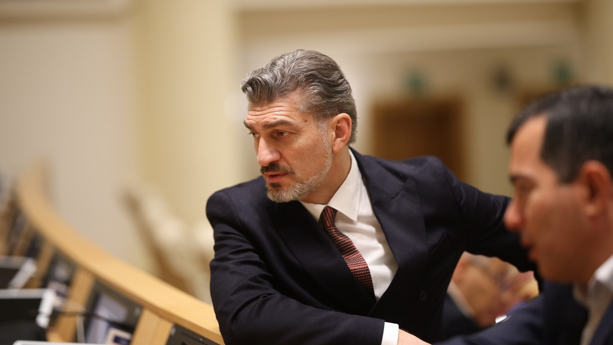  Georgian Dream / Facebook 