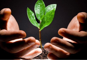 «Таза Қазақстан» экологиялық бастамасы 6,5 млн адамды біріктірді