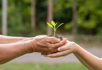 Қазақстандағы экомәдени жұмыстың қорытындысы жарияланды