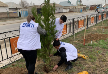 «Таза Қазақстан»: 1,6 млн-ға жуық ағаш отырғызылды