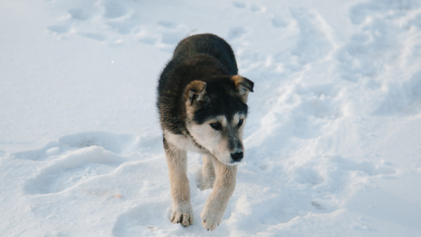  © El.kz/Жалгасбек ТОКТАМЫСОВ 