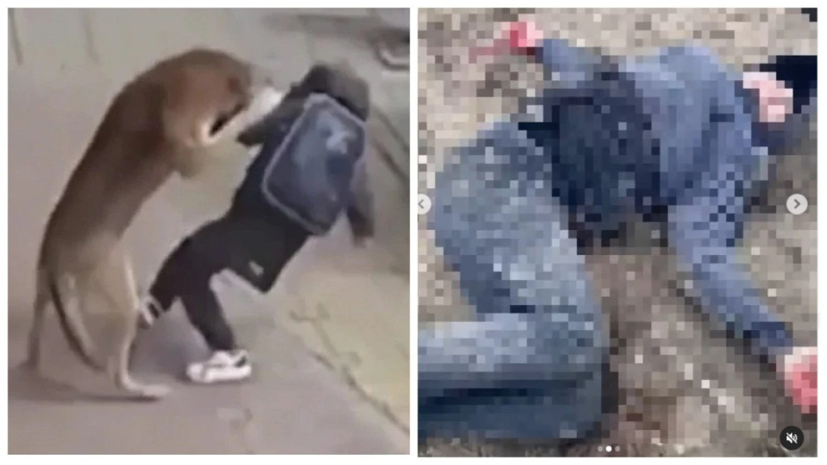  Коллаж EL.kz 
