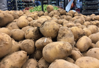 Стабилизация цен на картофель в Казахстане: выявлено 49 нарушений