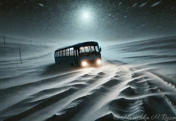 Метель и заносы: движение в ВКО ограничено, спасатели продолжают помогать водителям