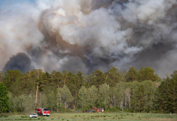 По всем уголовным делам о пожаре в «Семей орманы» вынесены окончательные решения - Генпрокуратура