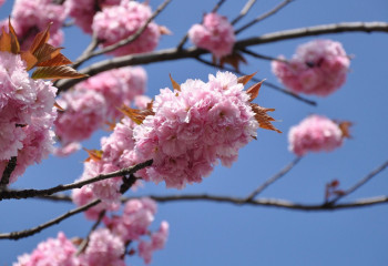 Наурыз айында қанша күн демаламыз