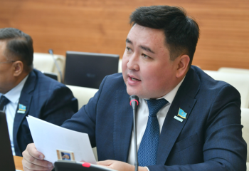 Қазақстан кәсіби спортқа ақша құюдан алдына қара салмай тұр - депутат