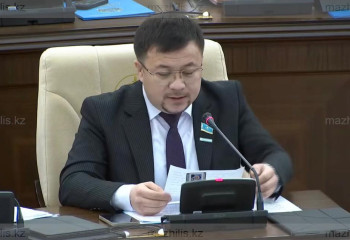 Өтірік ажырасқандар нағыз мұқтаждардың жолын кесіп жатыр - депутат