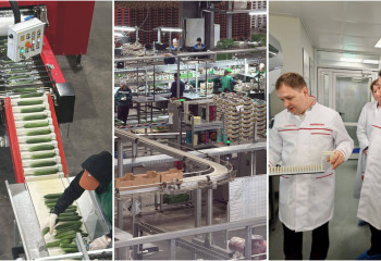 Казахстанская делегация изучила генетические и селекционные проекты в России