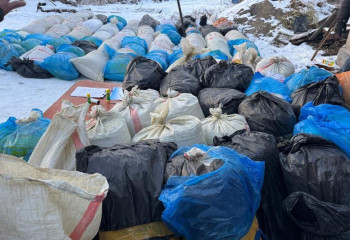 КНБ пресёк крупный канал поставок наркотиков в Казахстане