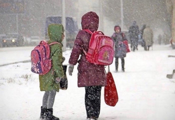 Школьников Астаны и студентов 1-2 курсов колледжей отправили на дистанционку