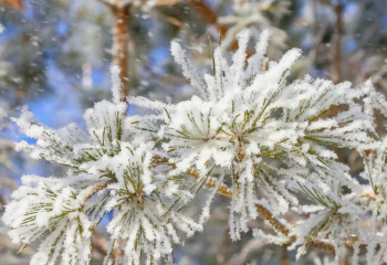 38 градус аяз: Қазақстанда 24 қаңтарда ауа райы қандай болады