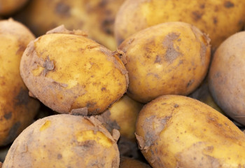 Астанада картоп сатуға қойылған шектеу жойылды