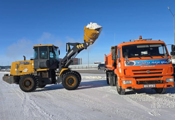 Астанада қар күреу жұмысына 2500-ден астам адам жұмылдырылды