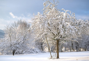 25 қаңтарға арналған ауа райы болжамы