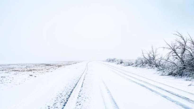  El.kz/Ербол БЕКБОЛАТ 