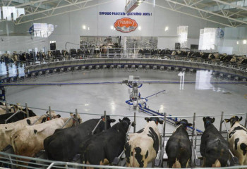 В Акмолинской области запущена уникальная доильная карусель