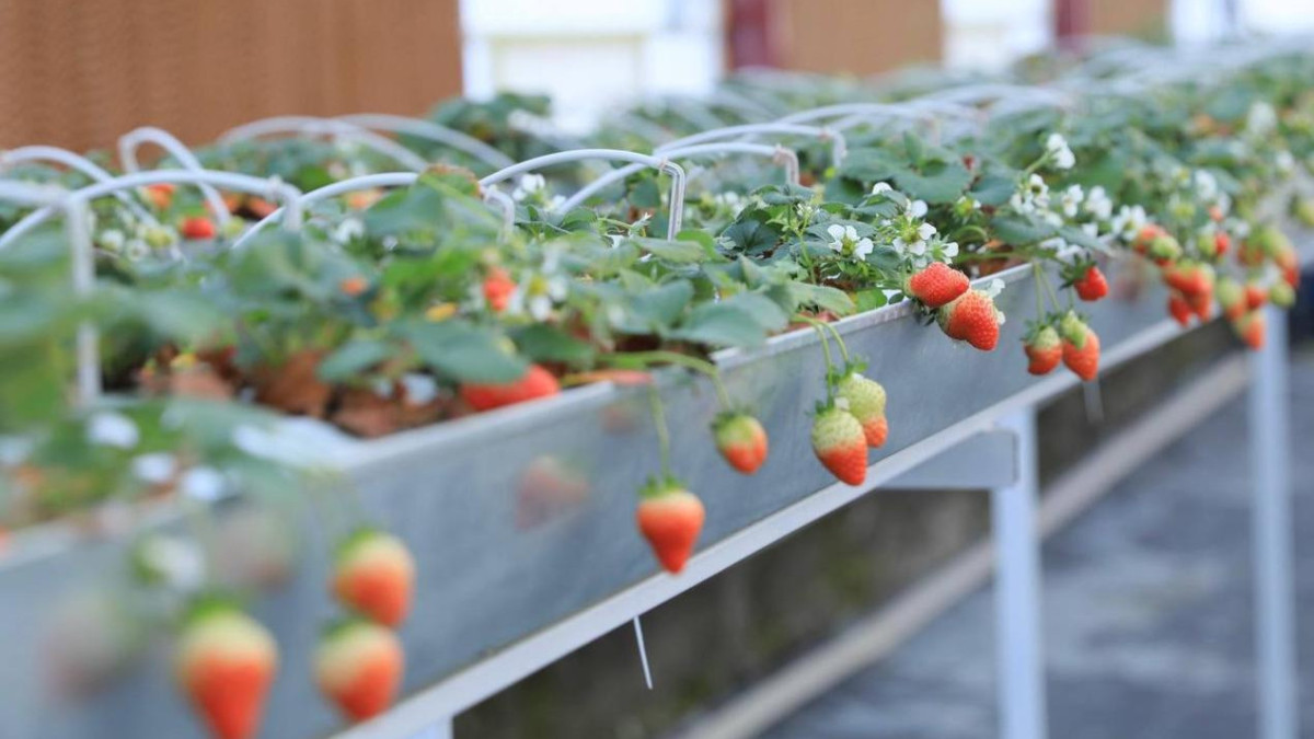  © акимат Актюбинской области 