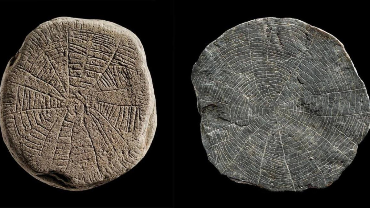  © Cambridge University press. 