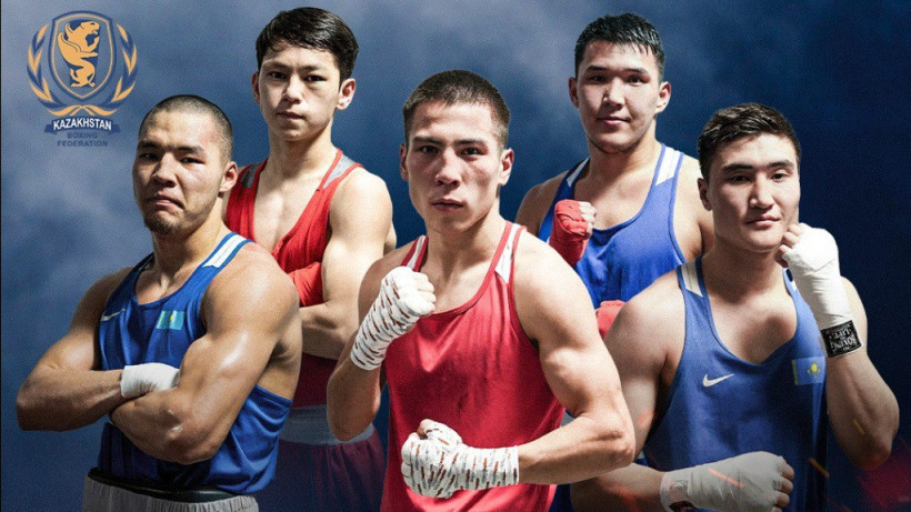  Бокс федерациясы 