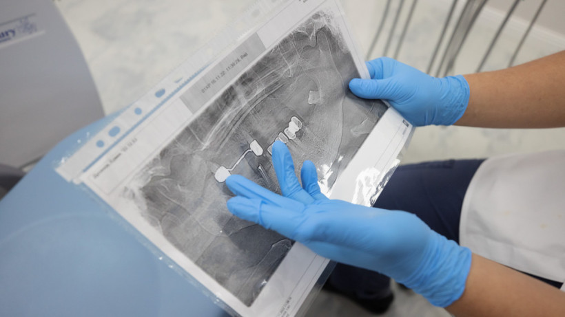  © El.kz/Артем ЧУРСИНОВ 