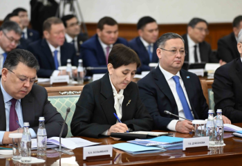 «Экономическая безопасность Казахстана — основа стабильности государства» — Ассоль Мирманова о ключевых вопросах на заседании Правительства