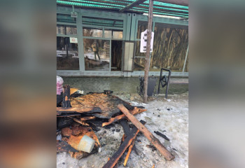 Animals killed in fire in Bishkek zoo