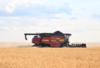 2024 жылы Қазақстанда 26,7 млн тонна астық жиналды