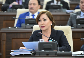 Қарақат Әбден сотталған әйелдерге амнистия жасауды сұрады