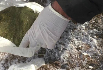 Отец троих детей из Шу оборудовал дома тайники с гашишем