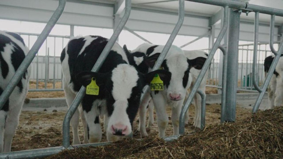  Министерство сельского хозяйства РК 