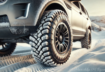 Водительское удостоверение отобрали у психически больного человека в области Абай