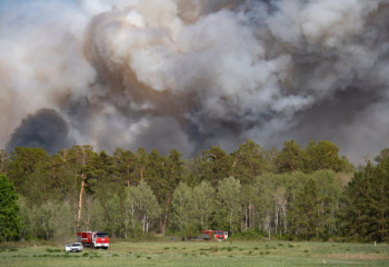 Спецпрокуроры завершили все уголовные дела по пожару в «Семей орманы»